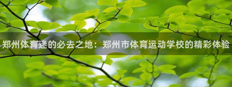 米兰体育官方正版app开户：郑州体育迷的必去之地：郑