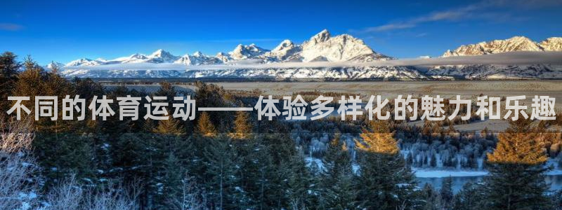 米兰体育官网下载招商电话号码是多少啊：不同的体育运动