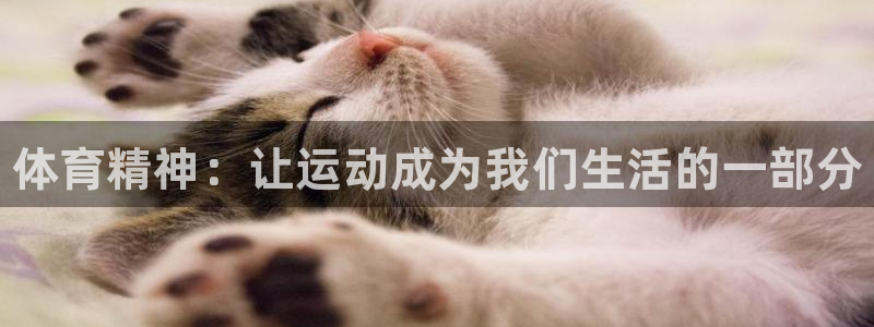 米兰体育官方正版app娱乐代理怎么样：体育精神：让运