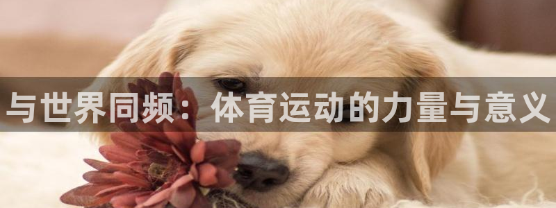 米兰体育官网下载是干嘛的公司：与世界同频：体育运动的