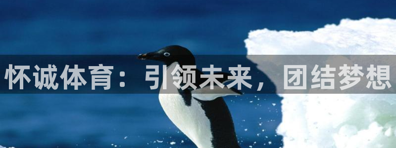 米兰体育官方正版app新能源：怀诚体育：引领未来，团