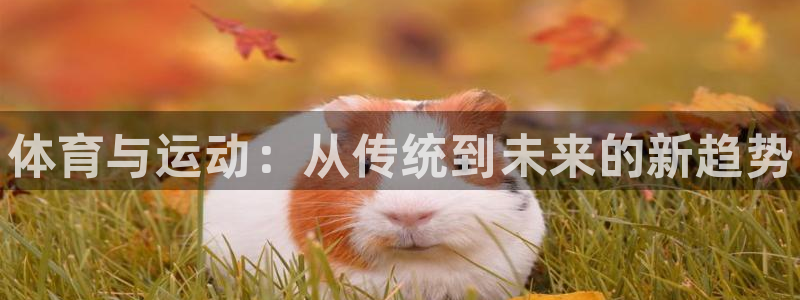 米兰体育官方正版app神州：体育与运动：从传统到未来