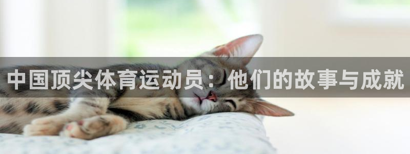 米兰体育官方正版app集团官网网址：中国顶尖体育运动