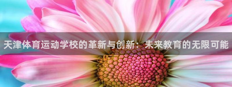 米兰体育官网下载：天津体育运动学校的革新与创新：未来