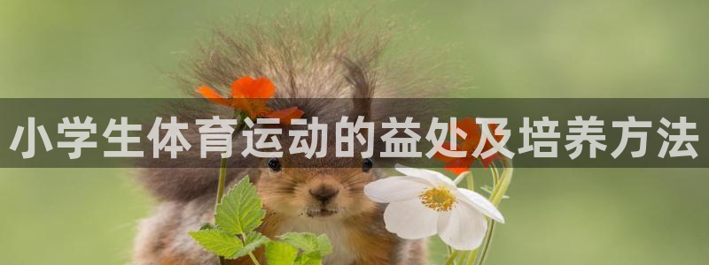 米兰体育官网下载平台注册要钱吗：小学生体育运动的益处