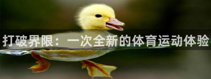 德国米兰体育官方正版app集团：打破界限：一次全新的