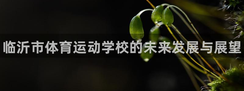 米兰体育官网下载招商电话号码是多少：临沂市体育运动学