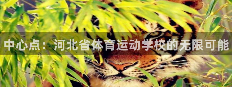 米兰体育官方正版app娱乐是那个系列的台子：中心点：河北省体