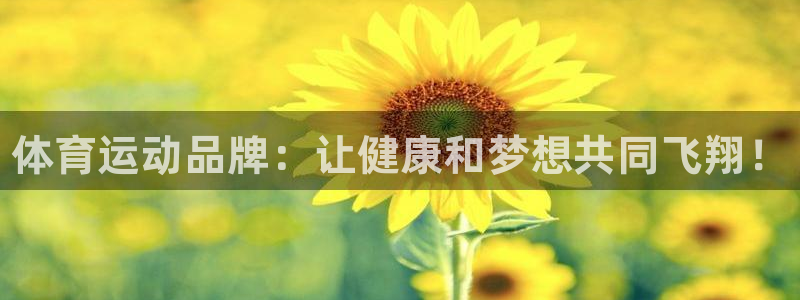 米兰体育官网下载招商
