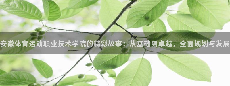 海南米兰体育官网下载发展怎么样