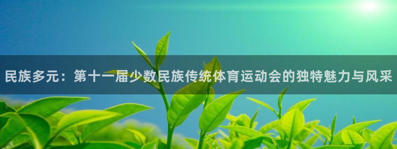 德国米兰体育官方正版app集团：民族多元：第十一届少数民族传