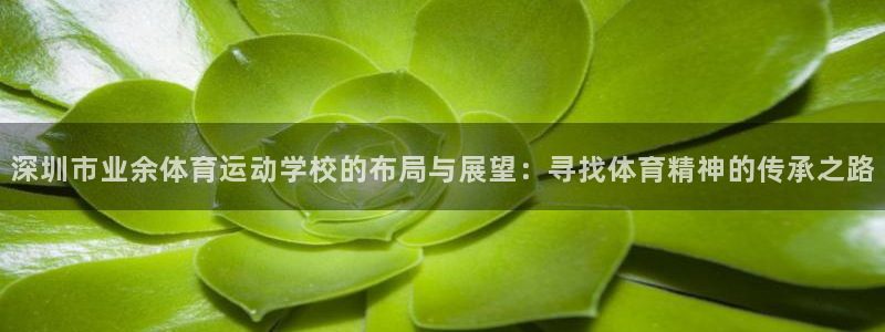 米兰体育官网下载招商电话是多少：深圳市业余体育运动学校的布局