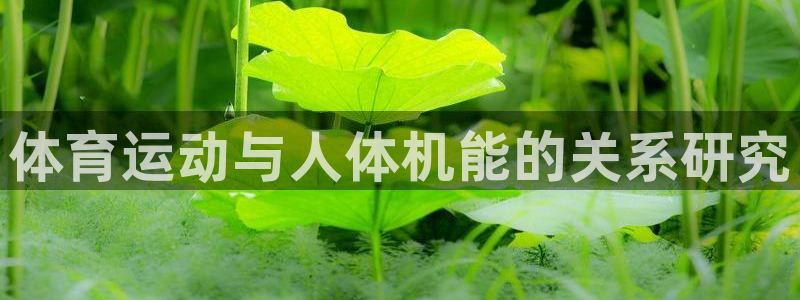 米兰体育官网下载是干嘛的公司