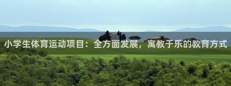 德国米兰体育官方正版app集团