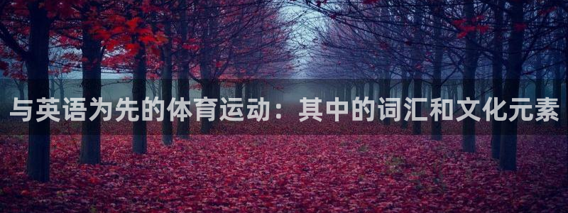米兰体育官网下载平台是正规平台吗：与英语为先的体育运