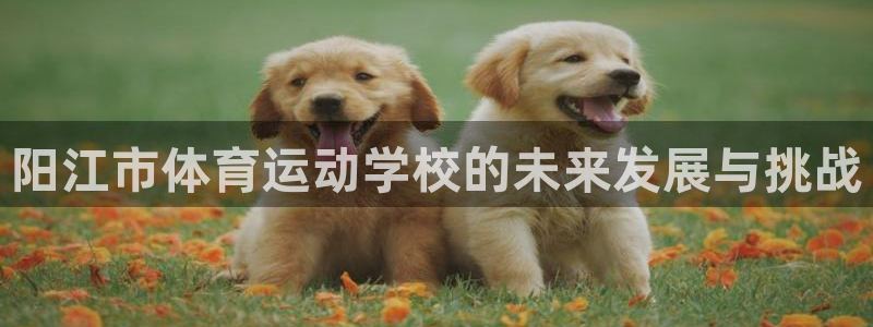 米兰体育官方正版app娱乐：阳江市体育运动学校的未来