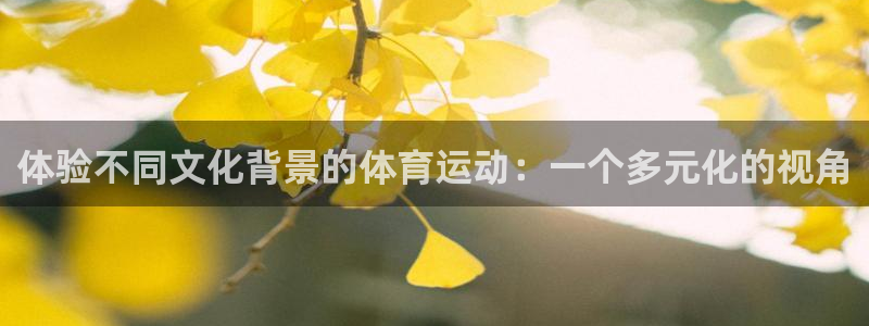 米兰体育官网下载平台APP：体验不同文化背景的体育运动：一个