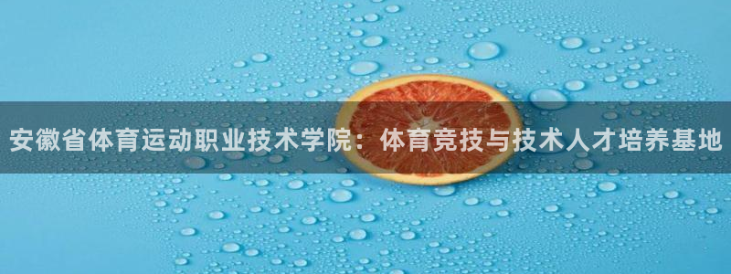 米兰体育官方正版app娱乐首页官网下载：安徽省体育运动职业技