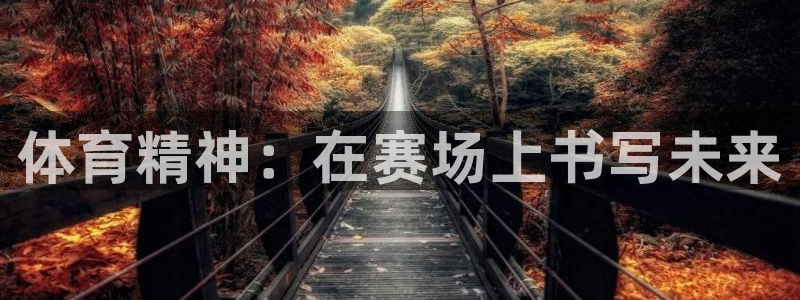 海南米兰体育官网下载发展怎么样：体育精神：在赛场上书