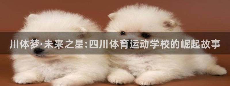 德国米兰体育官方正版app集团