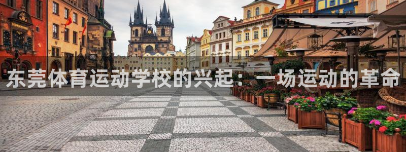 米兰体育官网下载联系电话：东莞体育运动学校的兴起：一场运动的