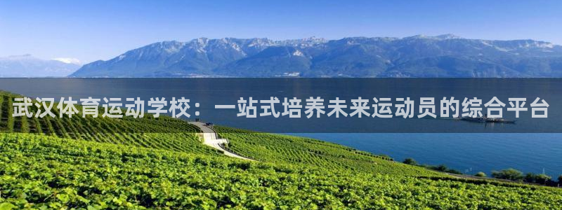 米兰体育官网下载招商电话