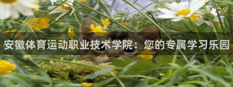 米兰体育官网下载招商电话号码查询是多少