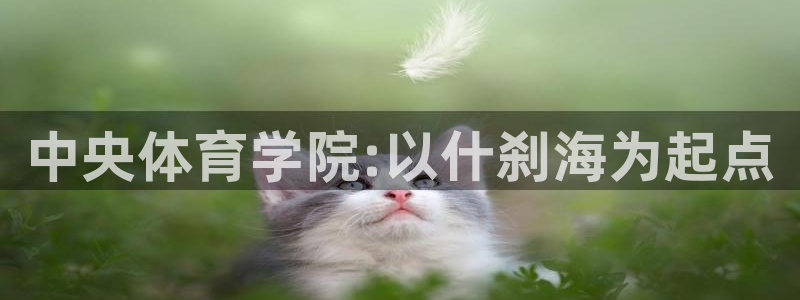 米兰体育官方正版app神州