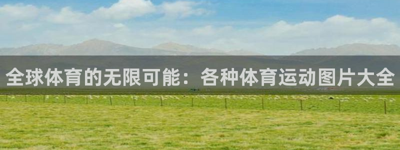 米兰体育官网下载平台是正规平台吗安全吗：全球体育的无限可能：