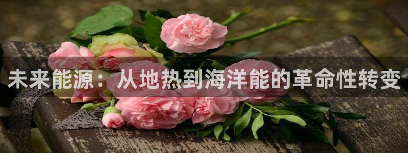 河豚体育免费直播