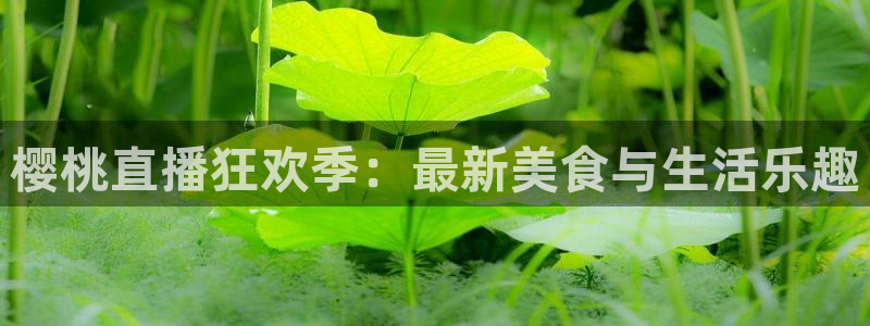 河豚体育赛事直播