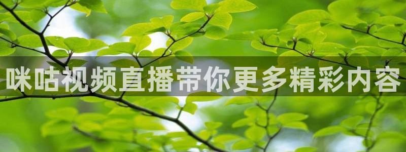 河豚体育直播nba：咪咕视频直播带你更多精彩内容