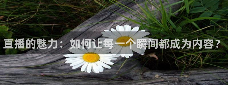 河豚tv直播：直播的魅力：如何让每一个瞬间都成为内容？