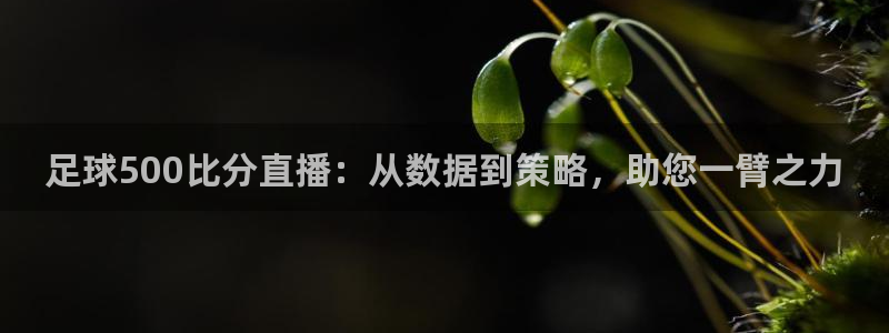 河豚体育nba直播：足球500比分直播：从数据到策略，助您一臂之力