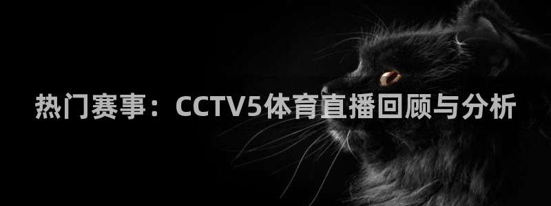 河豚的直播网：热门赛事：CCTV5体育直播回顾与分析