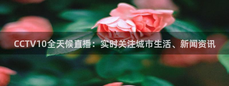 河豚体育直播app：CCTV10全天候直播：实时关注城市生活、新闻资讯