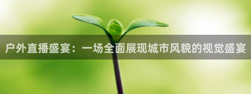 河豚看球