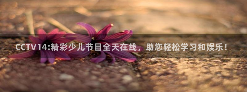 河豚体育直播app