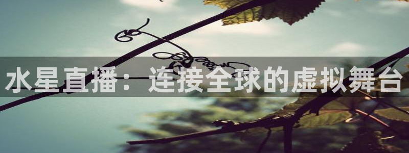 河豚体育app下载：水星直播：连接全球的虚拟舞台
