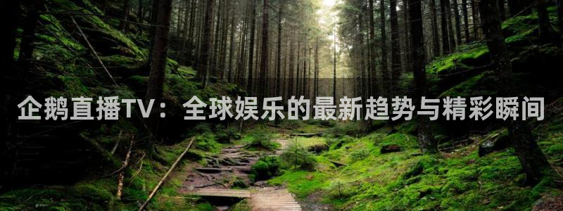 河豚直播：企鹅直播TV：全球娱乐的最新趋势与精彩瞬间